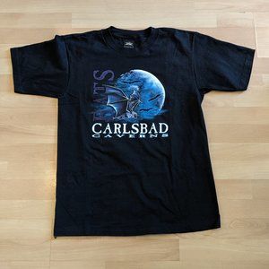 90's Bats Carlsbad Caverns Large Glows in the Dark*
